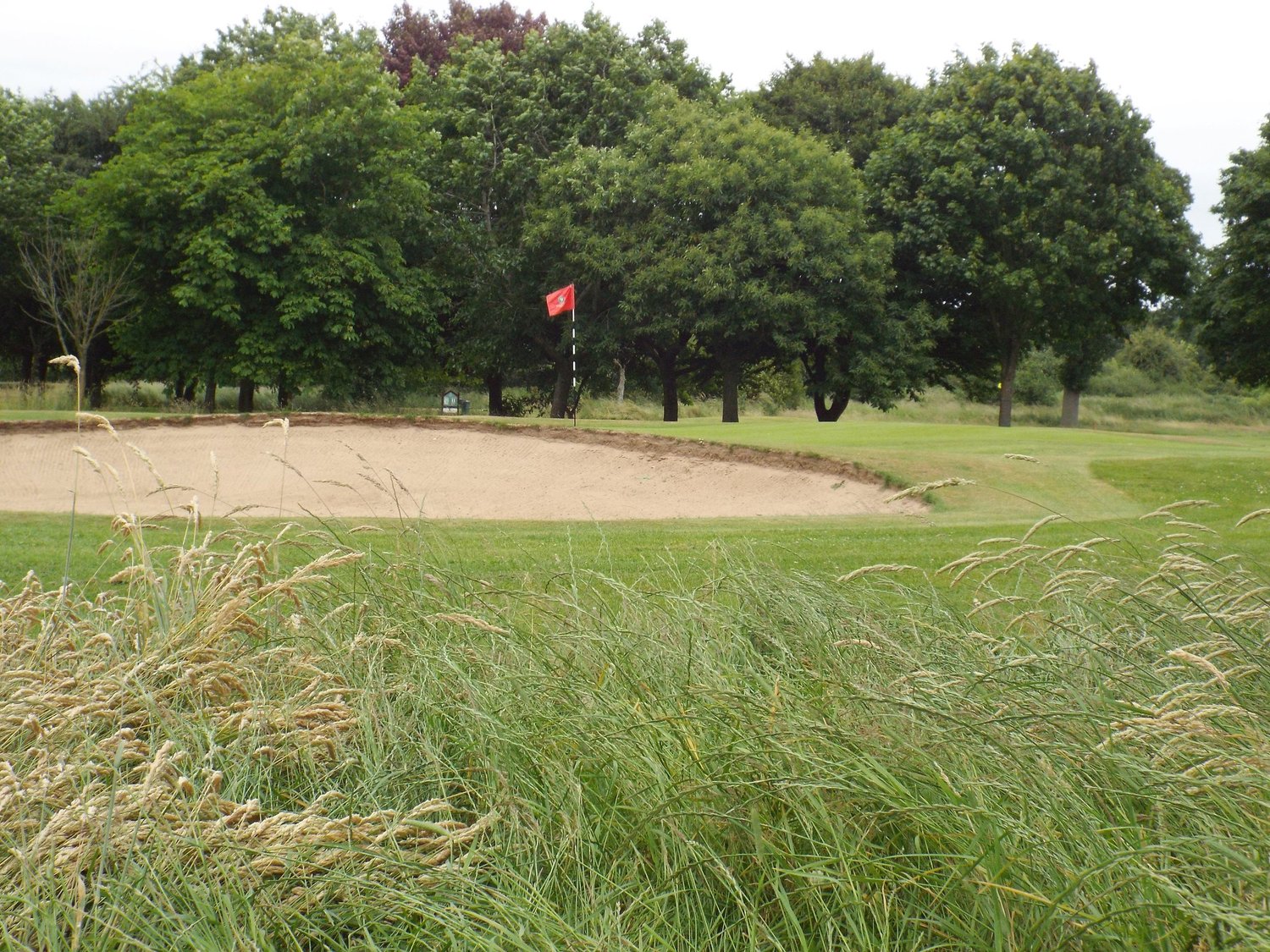 Short Game Area